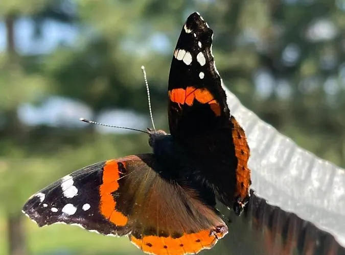 Dumbovo Сasa de vacaciones *