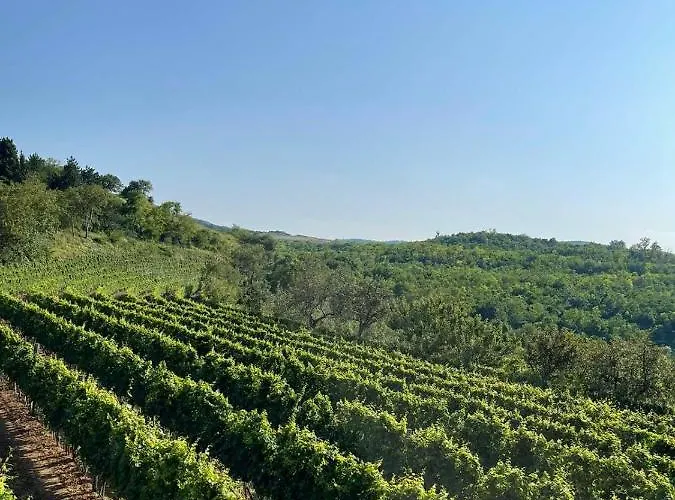 Сasa de vacaciones Dumbovo